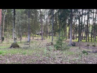 Видео от Полигон 93 км Лазертаг Страйкбол Пейнтбол