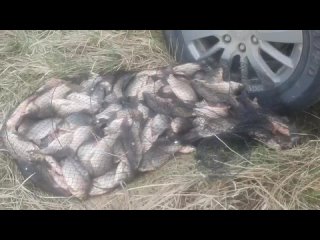 Рыбалка в Челябинской областиtan video