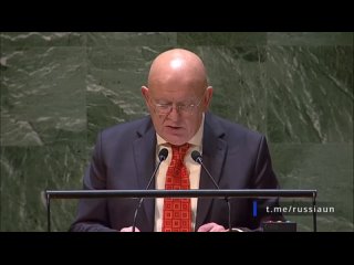 El representante de la Federacin Rusa ante la ONU, Vasily Nebenzya, llam a la ONU a reconocer el Estado de Palestina y detener