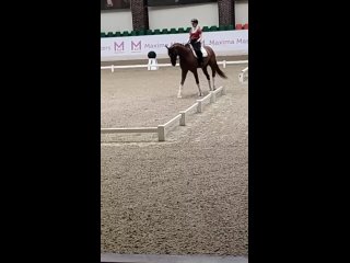 Видео от БРОФСО “Федерация конного спорта “Белогорье “