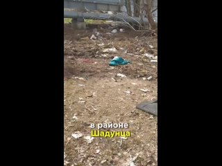 Дети в саду на Шадунца смотрят на горы мусора и здороваются с крысами

Об этом сообщает жительница города:
С прошлого года там з