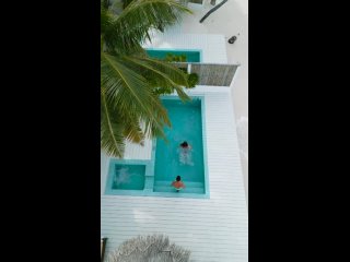 Video by Дикие Мальдивы - Wild Maldives