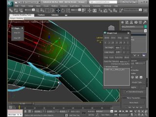 65. Editing the deformations of the index finger