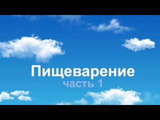 Пищеварение. 1 часть. Новая озвучка