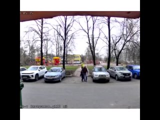 Неконтролируемая агрессия домашних питомцев - Инцидент на улице Ветеранов, 110