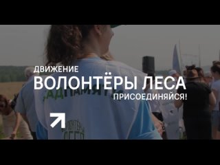 Всероссийское общественное движение «Волонтёры Леса»