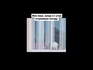 Доброе дождливое утро