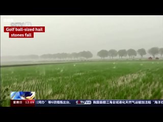 Un tornado nella città cinese di Guangzhou ha ucciso cinque persone e ne ha ferite altre 33