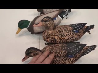 Видео от NorthWay. Сминаемые чучела гусей и уток.