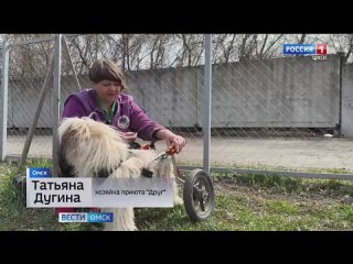 “Другу“ требуется помощь