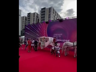 Это что за цирк тут (видео)