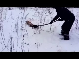 Video by ЧП ЖИЗНЬ ТОЛЬЯТТИ
