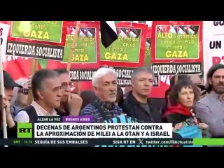 Decenas de argentinos protestan contra la aproximacin de Milei a la OTAN y a Israel