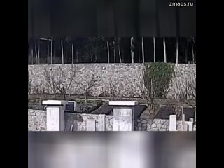 Видео с камер наблюдения вокруг моего дома. Недавно забор, проволоку-егозу преодолел посторонний чел