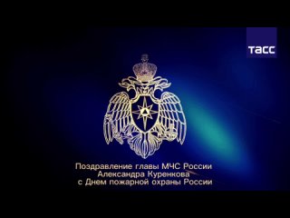 Глава МЧС России поздравил личный состав пожарной охраны с 375-летием