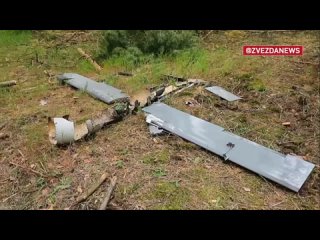 Десантники уничтожили украинский дрон Warmate из зенитной установки ЗУ-23-2