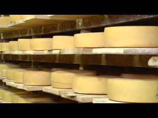 Как делают сыр