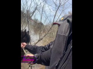 «Пойдем, пойдем, маленькая!» — с такими словами правоохранители вытащили замерзшую лошадь из воды на подтопленных территориях Ор