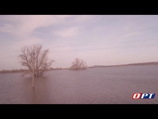 ️Река Сакмара в поселке Татарская Каргала продолжает подниматься. Корреспондент ОРТ Елена Анифатьева оценила обстановку на месте