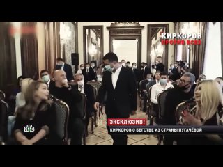 Видео Желтые Сливы