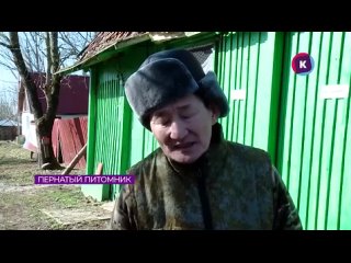 Видео телеканала Каскад о Лаврентьеве Алексее Афанасьевиче