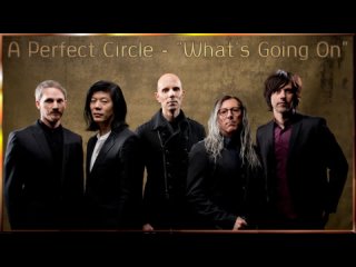 рок-группа A Perfect Circle - Whats Going On