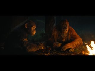 Kingdom of the Planet of the Apes | Campfire Clip