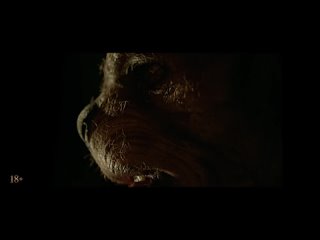 Дублированный трейлер фильма Винни-Пух: кровь и мед 2