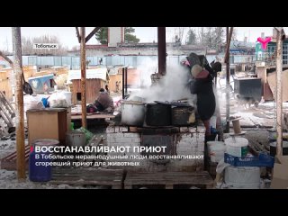 В Тобольске продолжают восстанавливать центр передержки собак