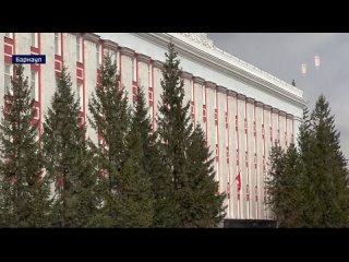 У здания правительства Алтайского края спилят ели, пострадавшие во время урагана.