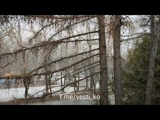 В Кирове сейчас сильный снег с дождем