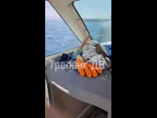 В Приморье спасли рыбака, выпавшего из резиновой лодки.