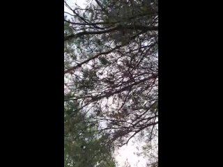 Видео от Конный дворик “Огонёк“