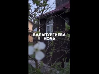 Видео от Валя Звезда | Таро | Руны | Астрология