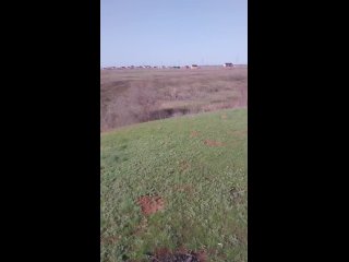 Видео от Подслушано ЖК Пушкино, Оренбургский район