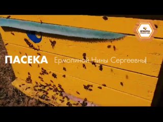 Пасека Ермолиной Нины Сергеевны- пчелки уже работают, апрель 2024 год