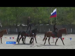 Уникальный фестиваль Конные традиции России состоялся во Владивостоке