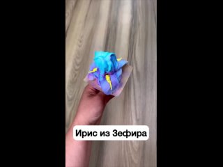 Отсаживание Ириса из Зефира