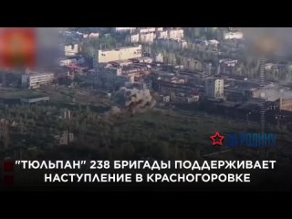 Тюльпан 238 бригады поддерживает наступление в Красногоровке