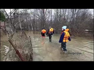 Как в Уфе подтопило садовые участки и частные дома: фото и видео – Башинформ