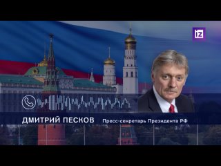 Песков: в Кремле попробуют найти возможность организовать встречу президента с девочкой Машей из ДНР