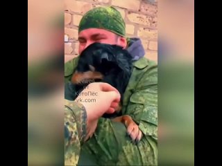 Спасение собачки во время паводкового наводнения в пригороде Оренбурга. Реакция пушистого бесценна.