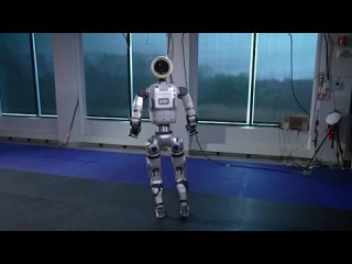 Американская компания Boston Dynamics представила нового робота.