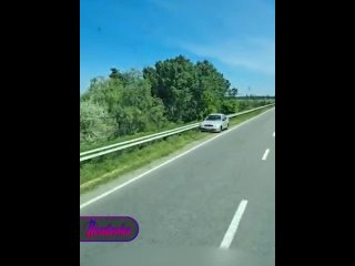 Брось машину и беги в Молдавию  новый тренд украинской реальности, где люди массово оставляют свои авто на приграничных трассах