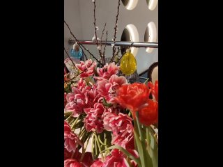 Video by Цветы Самара | 8 марта | Gud_garden_decor