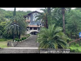 В краю магнолий  плещет море🌊 сидят мальчишки на заборе и восхищенье в каждом взоре невольно  я ловлю....  мальчишкам... - Саима Васева