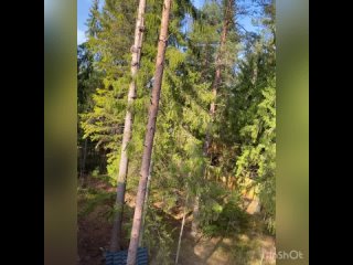 Спил деревьев (СПБ и ЛО) 89502222409tan video