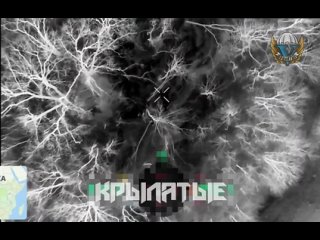 ☄️Артемовское направление

Группа из 4 безумцев почему-то решила, что в панчо их видно не будет. Подсказываем, через примерно 3-