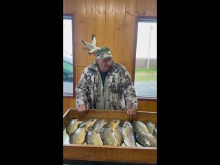 Видео от Рыболовный клуб и база семейного отдыха Чайка