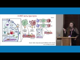 Разбор клинических наблюдений токсичности иммунотерапии. Мое сердце замерло